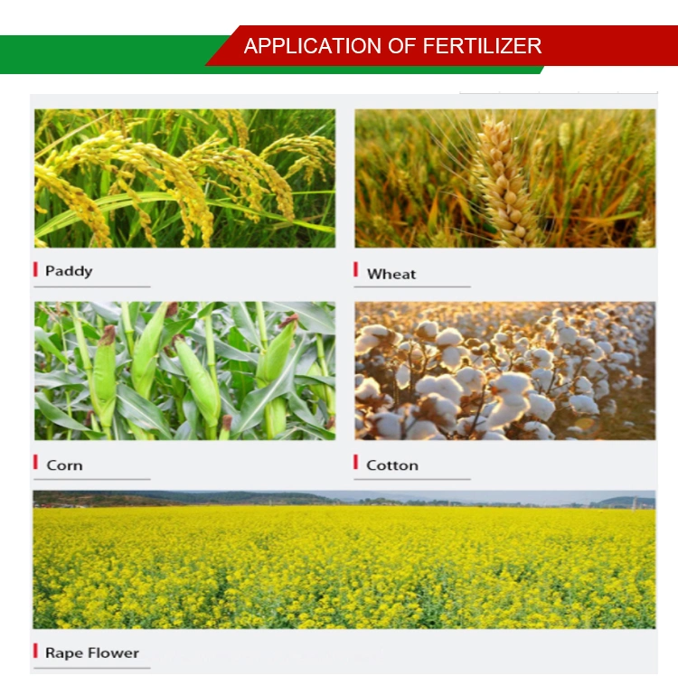 Agricultural NPK 20-10-5 Compound Fertilizer China Water-Soluble NPK Fertilizer