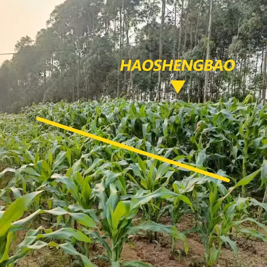 100% Water Soluble NPK Fertilizer for Agriculture Fertilizer